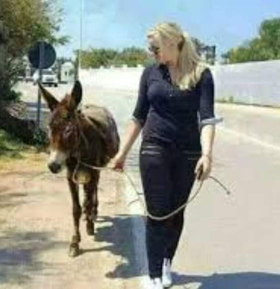 قصة المطي...بقلم حسن يونس العقابي