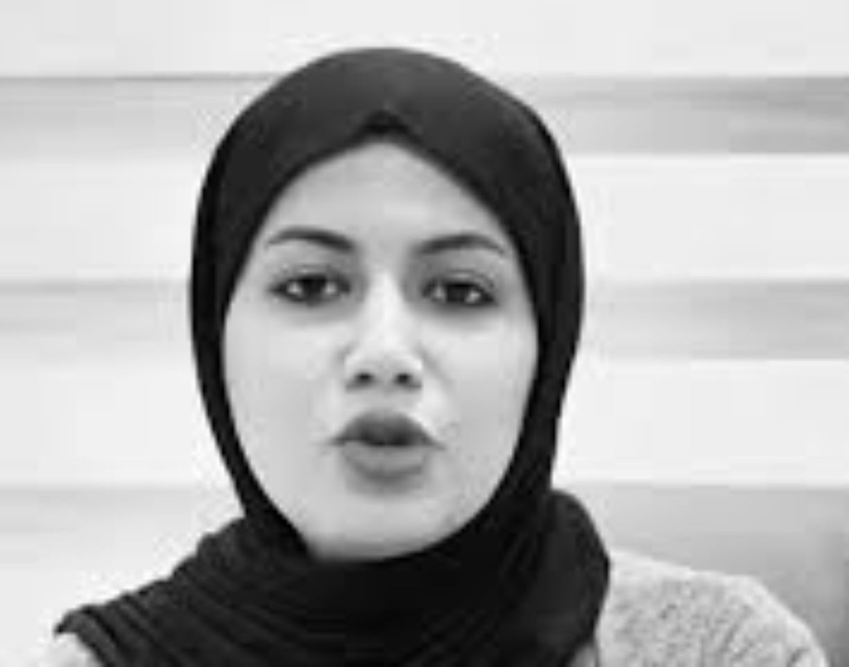 اللجان الثلاث  تكمل  تحقيقها بقضية الدكتورة بان وتسلمها إلى القضاء